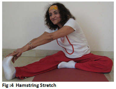 fig_4_hamstring_stretch